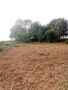 Terrain à bâtir, 1 273 m²