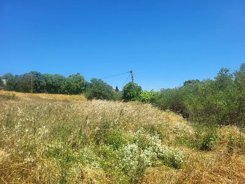 Terrain à bâtir, 741 m² - Sauzet (30190)
