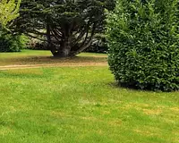 Terrain à bâtir, 490 m²