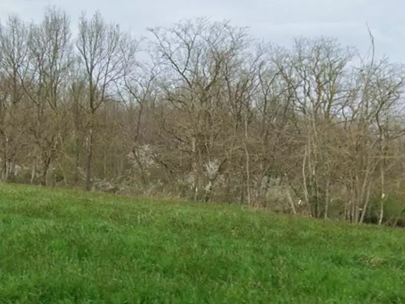 Terrain à bâtir, 850 m² - Gratens (31430)