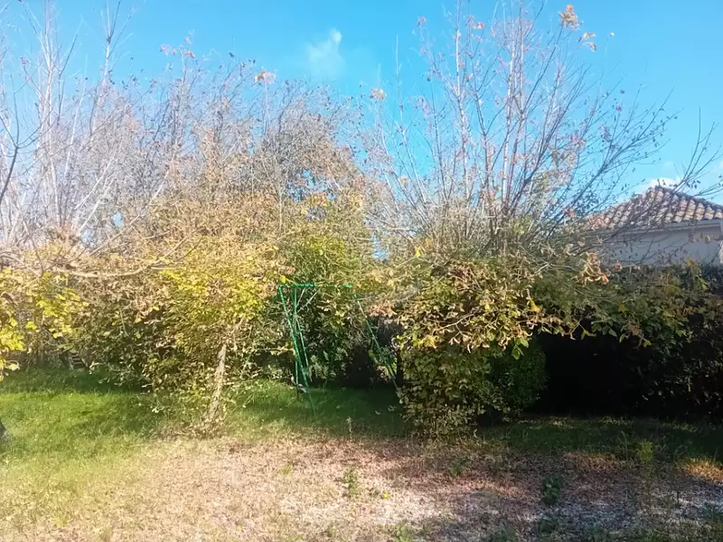 Terrain à bâtir, 480 m² - Audenge (33980)