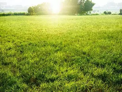 Maison neuve, 120 m²