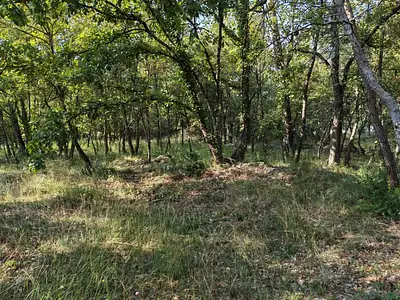 Terrain à bâtir, 717 m²