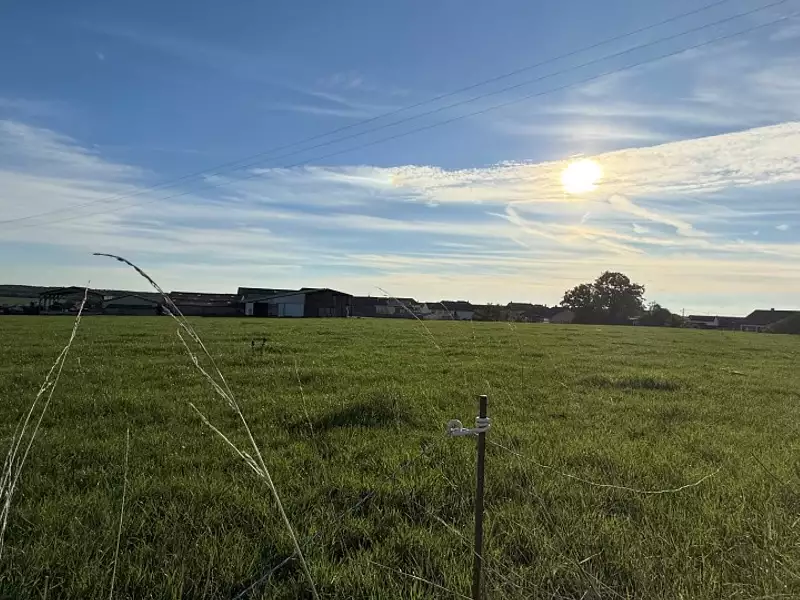 Maison neuve, 100 m² - Kirschnaumen (57480)