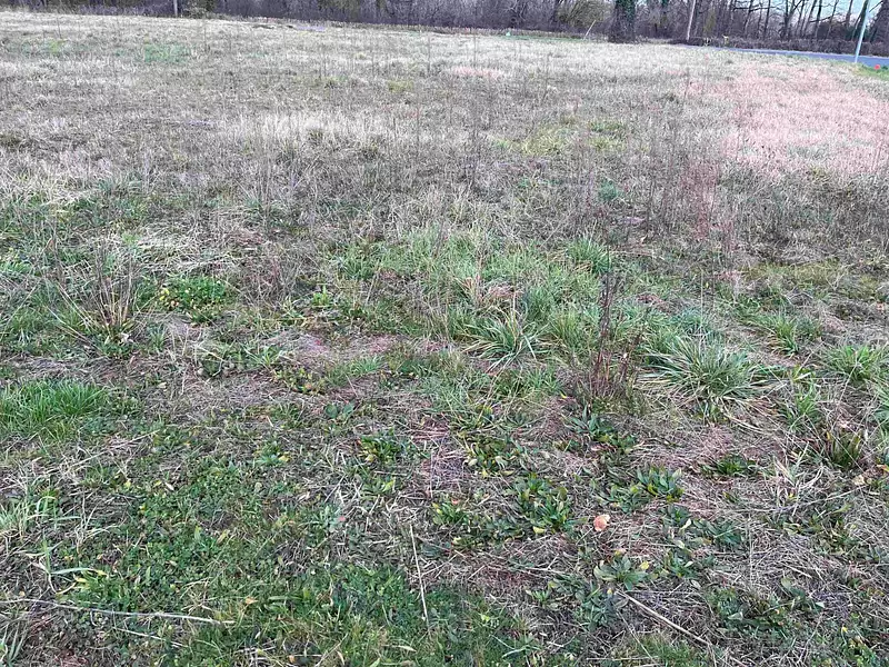 Terrain à bâtir, 983 m² - Prudhomat (46130)