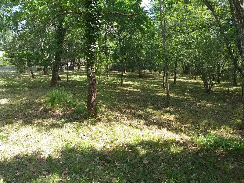 Terrain à bâtir, 1 300 m² - Andernos-les-Bains (33510)