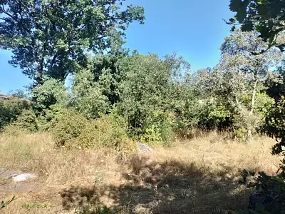 Maison neuve, 62 m²
