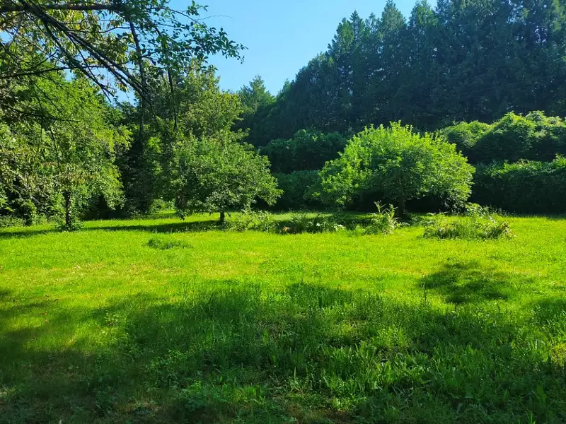 Terrain à bâtir, 1 600 m² - Javrezac (16100)