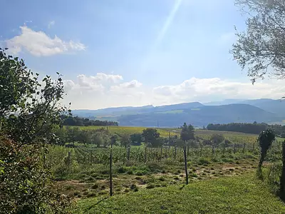 Terrain à bâtir, 1 200 m²
