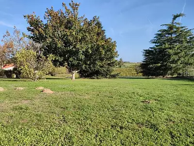 Terrain à bâtir - Langoiran (33550)