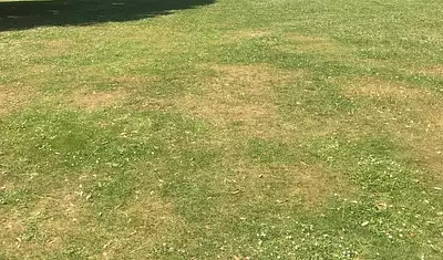 Maison neuve, 91 m²