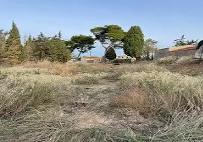 Terrain à bâtir, 1 000 m²