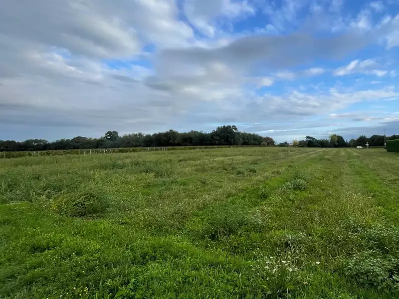 Terrain à bâtir, 2 400 m² - Boiscommun (45340)