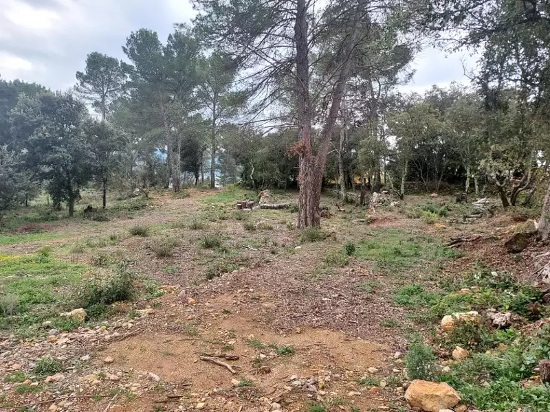 Maison neuve, 110 m² - Montfort-sur-Argens (83570)