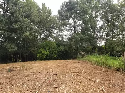 Maison neuve, 90 m²