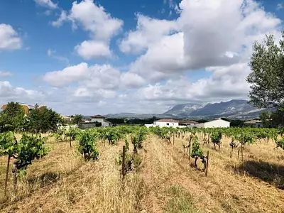 Terrain à bâtir, 501 m²