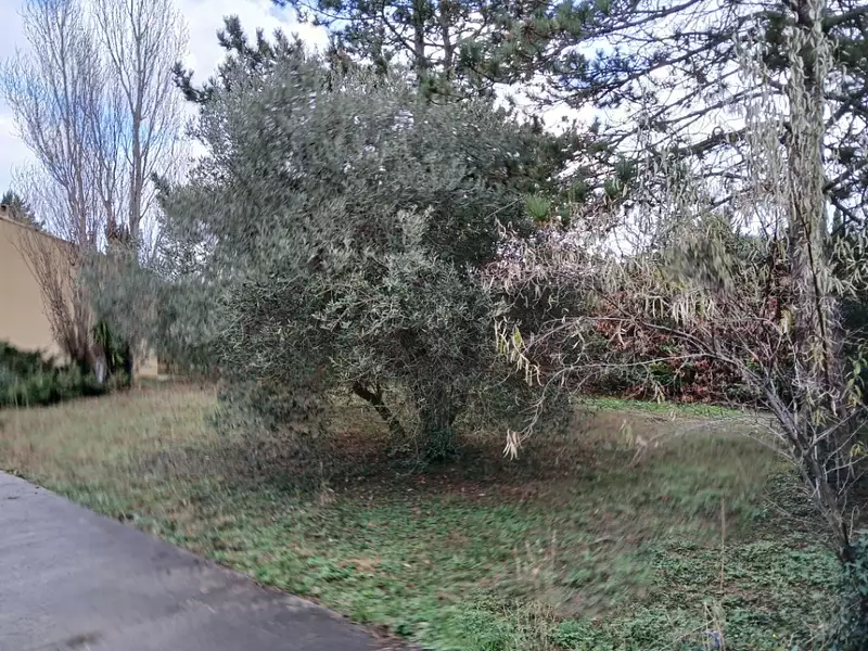 Terrain à bâtir, 424 m² - Marsillargues (34590)