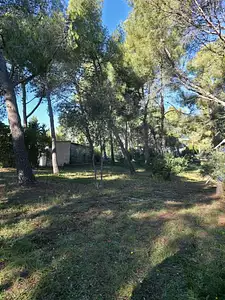 Maison neuve, 130 m²