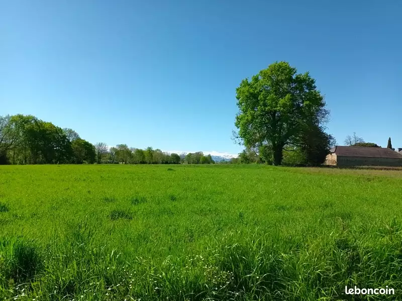Terrain à bâtir, 855 m² - Montlouis-sur-Loire (37270)