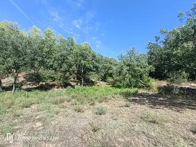 Maison neuve, 120 m²