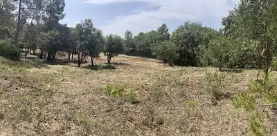 Terrain à bâtir, 930 m²