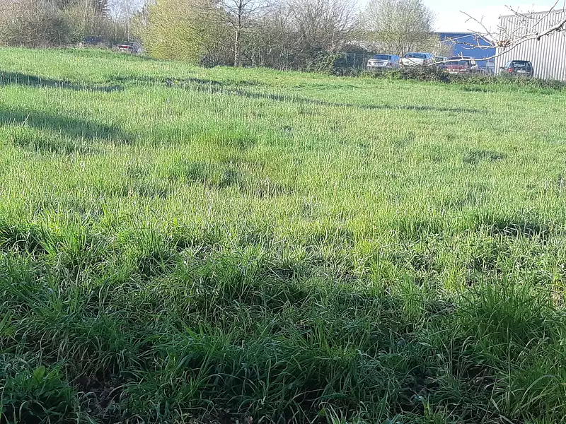 Terrain à bâtir, 1 000 m² - Missillac (44780)