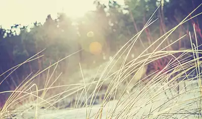 Maison neuve, 115 m²