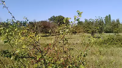 Maison neuve, 75 m²