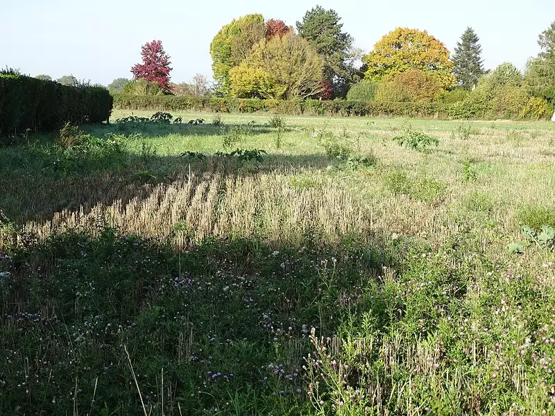 Terrain à bâtir, 913 m² - Beautheil-Saints (77120)