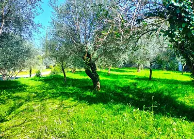 Maison neuve, 90 m²