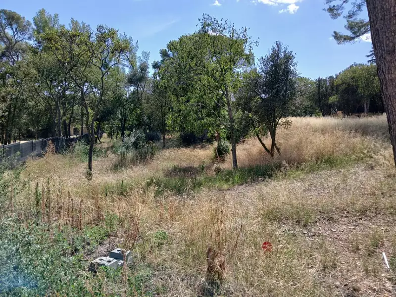 Terrain à bâtir, 1 300 m² - Cournonsec (34660)