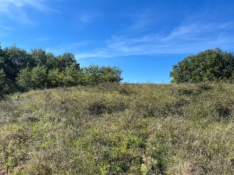 Terrain à bâtir, 942 m² - Réalmont (81120)