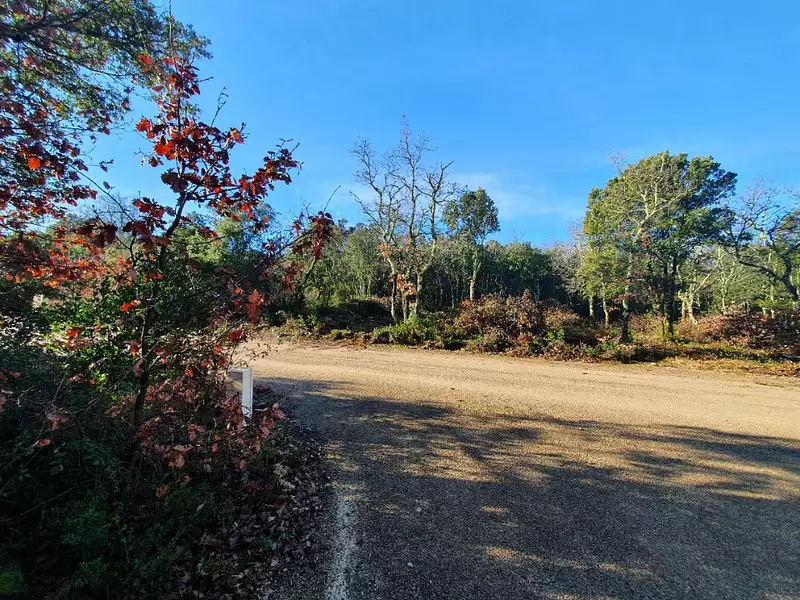 Terrain à bâtir, 1 338 m² - Labastide-de-Virac (07150)