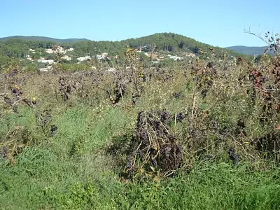 Maison neuve, 78 m²