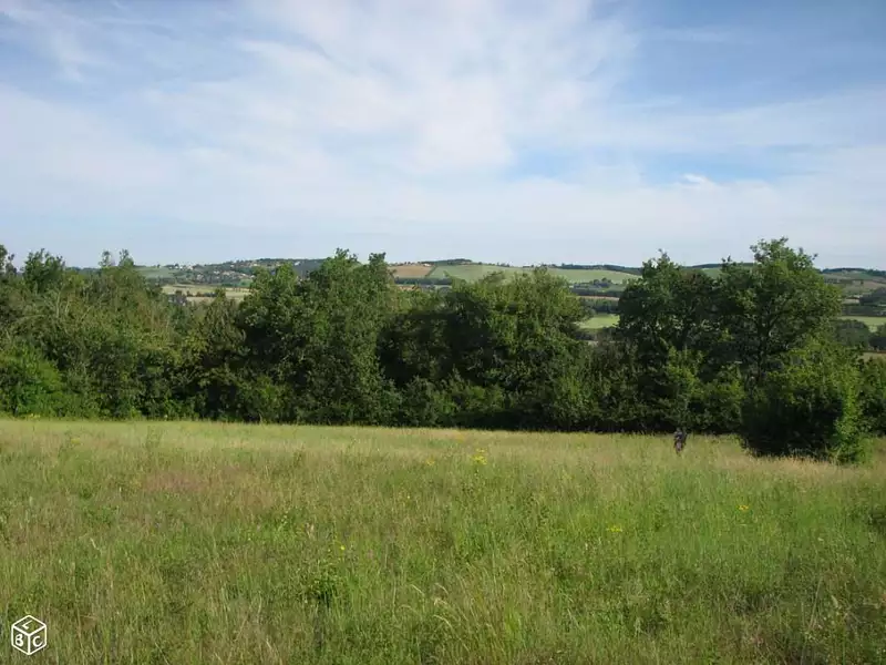 Terrain à bâtir, 1 300 m² - Damiatte (81220)