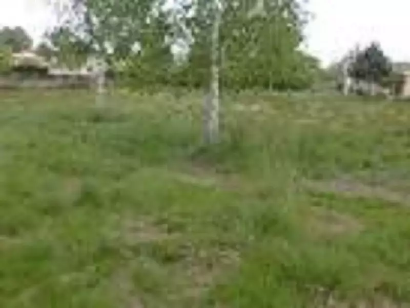 Maison neuve, 80 m² - Salles (33770)