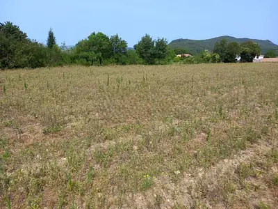 Maison neuve, 71 m²