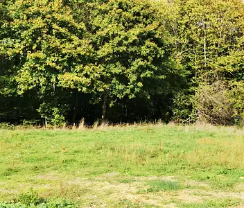 Maison neuve, 136 m²