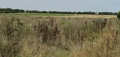 Terrain à bâtir, 500 m²