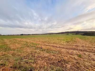 Maison neuve, 84 m²