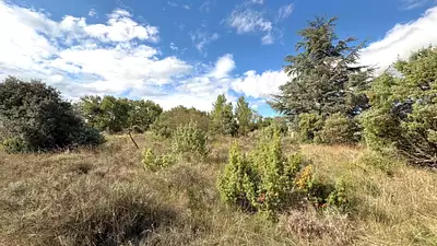 Maison neuve, 110 m²