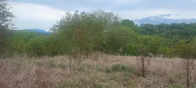 Terrain à bâtir, 1 131 m²