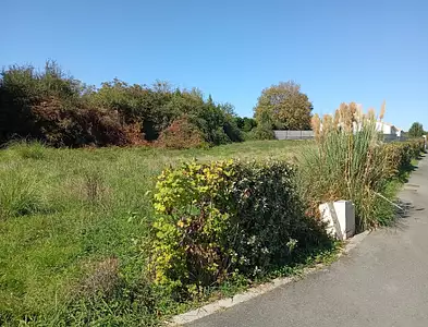 Maison neuve, 100 m²