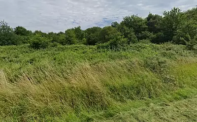 Maison neuve, 80 m²