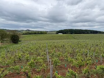 Maison neuve, 120 m²