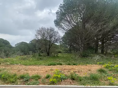 Terrain à bâtir, 647 m²