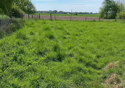 Terrain à bâtir, 778 m²