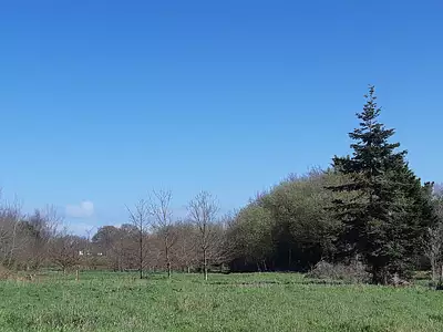 Maison neuve, 82 m²