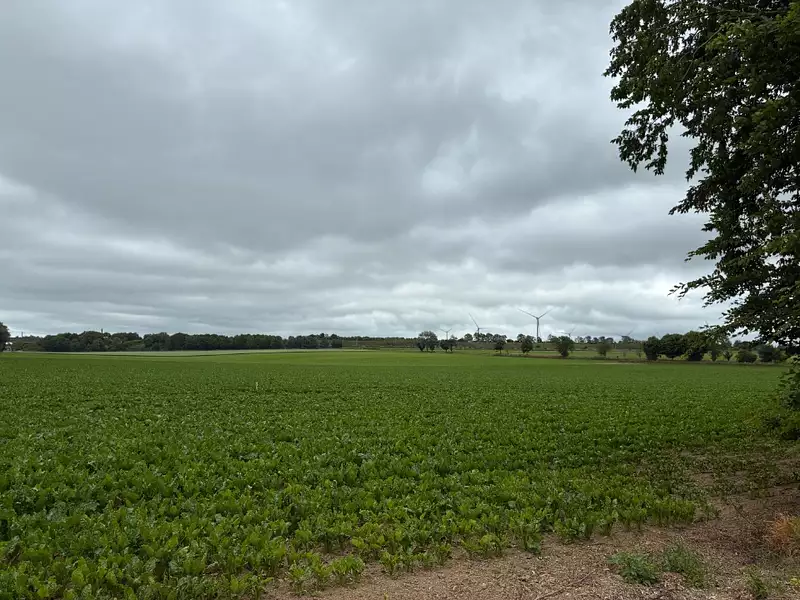 Terrain à bâtir, 608 m² - Monchy-le-Preux (62118)