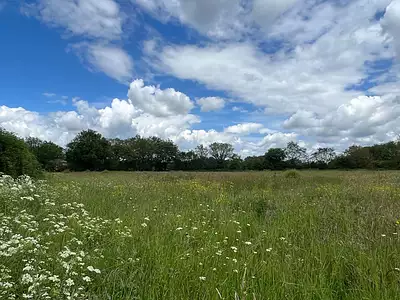 Terrain à bâtir, 456 m²